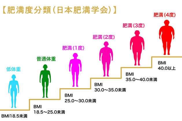 bmiがいくつだとぽっちゃりですか？基準と健康リスク解説