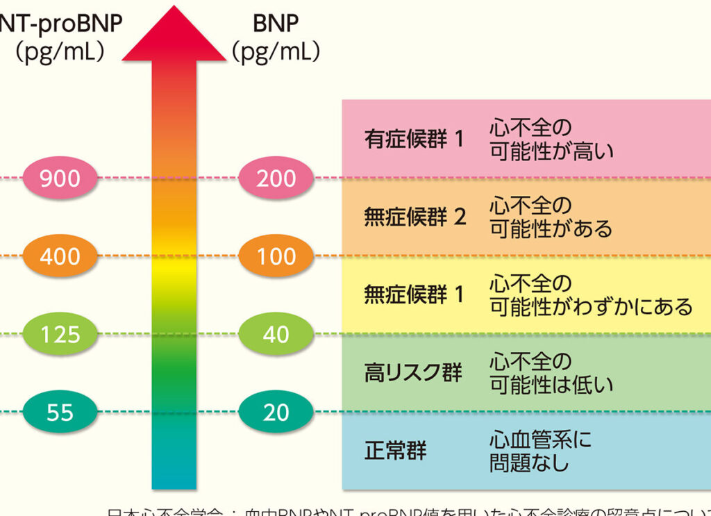bnpとntprobnpの正常値はいくつですか？詳しく解説
