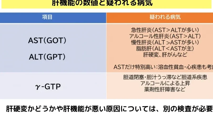 γGTはいくつからやばい？数値の基準と対処法について